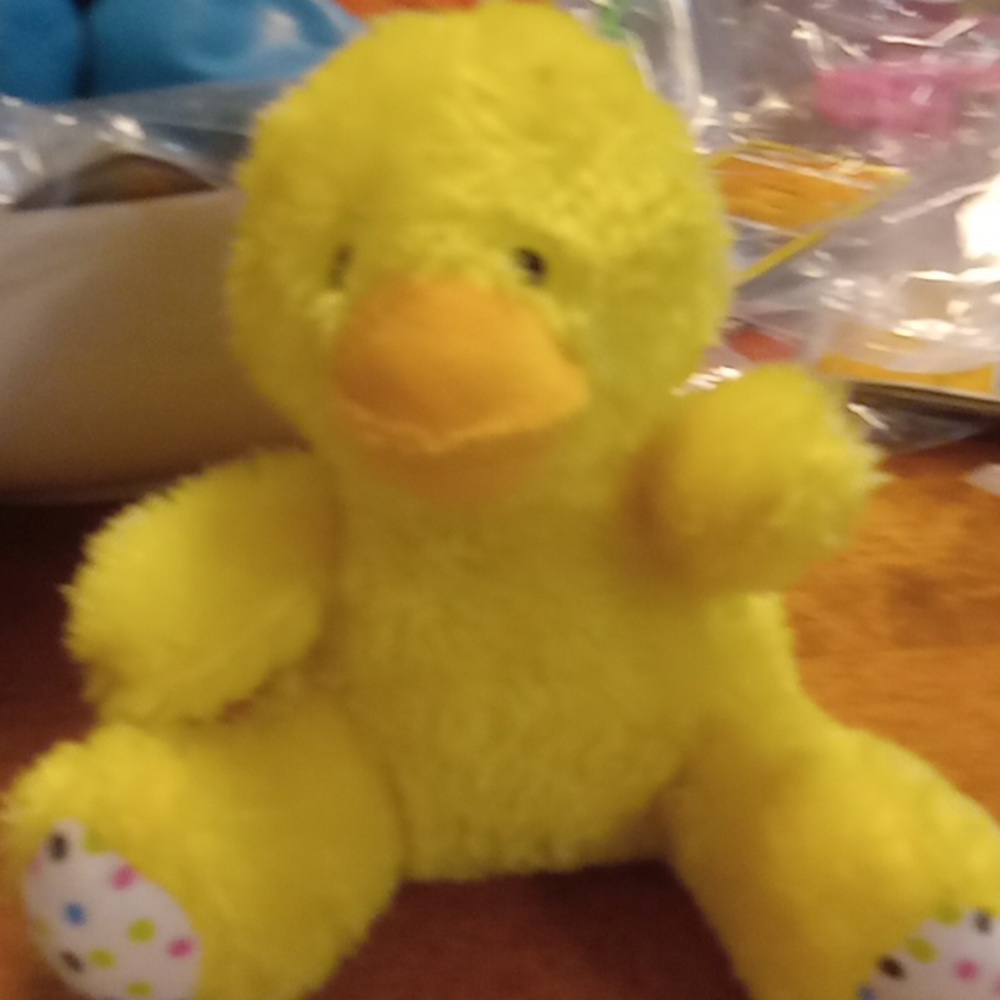 Duck
